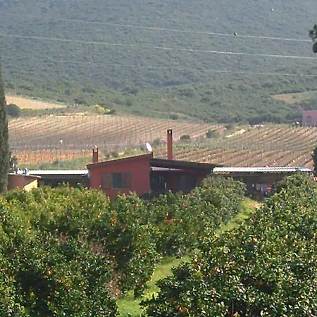 Farms L'agrumeto * Donori
