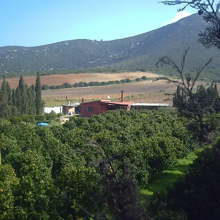 Farm stay Farms L'agrumeto *