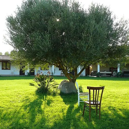 Farms L'agrumeto *