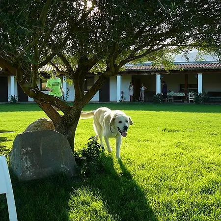 Farms L'agrumeto Farm stay Donori